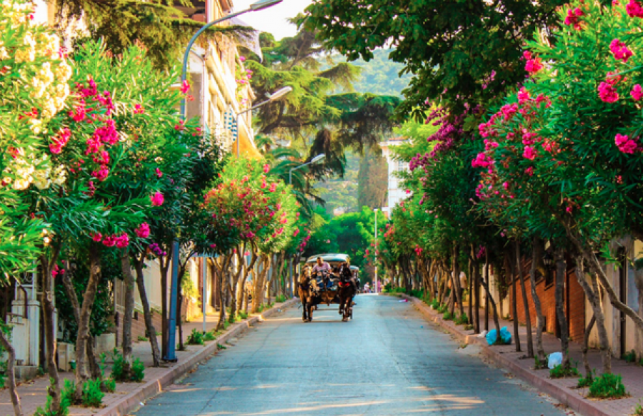 جزیره های استانبول 