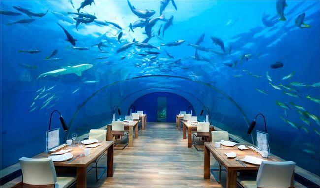 رستوران ایتا، پذیرایی زیر آب 