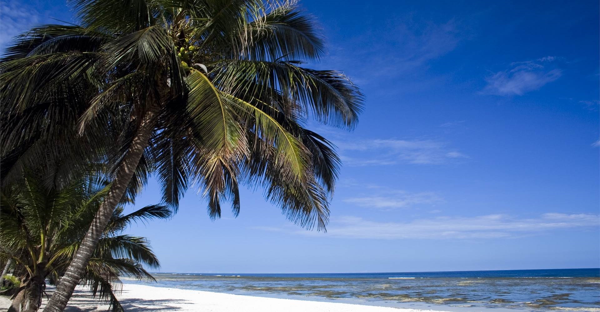 تور  آفریقای جنوبی